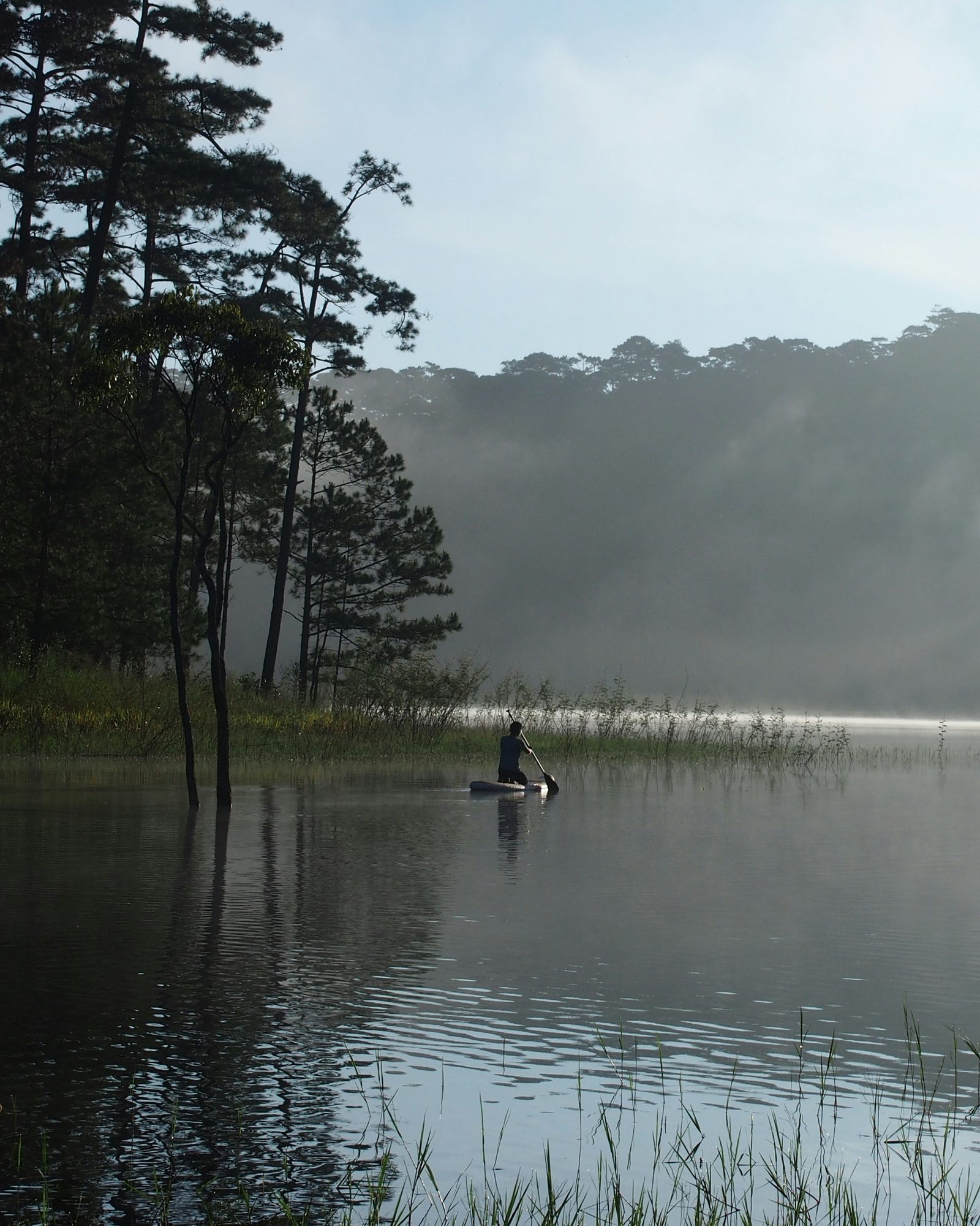 A paddler kneels on a paddleboard on a glassy lake at sunrise, mist lifting off a forested hill behind and pines on the near shore